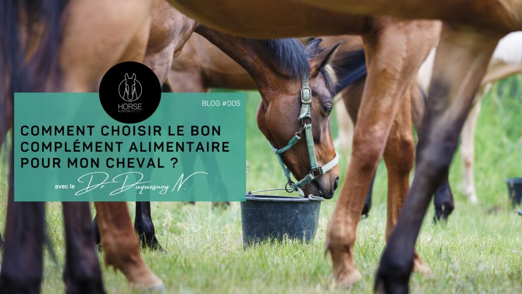 comment-choisir-le-bon-complement-alimentaire-pour-mon-cheval-horse-nutrition-project-blog-septembre-2024